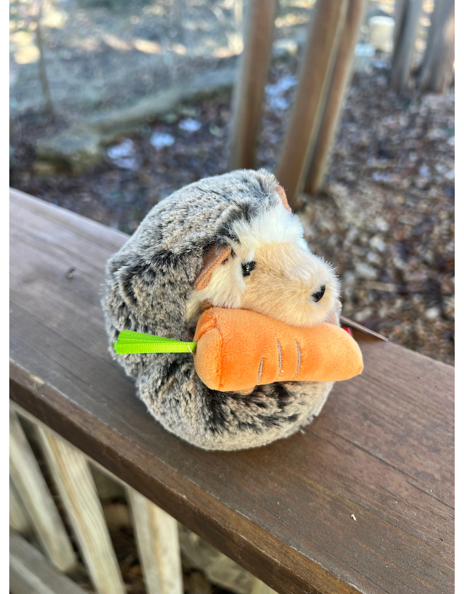 Spunky Hedgehog with Carrot