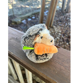 Spunky Hedgehog with Carrot