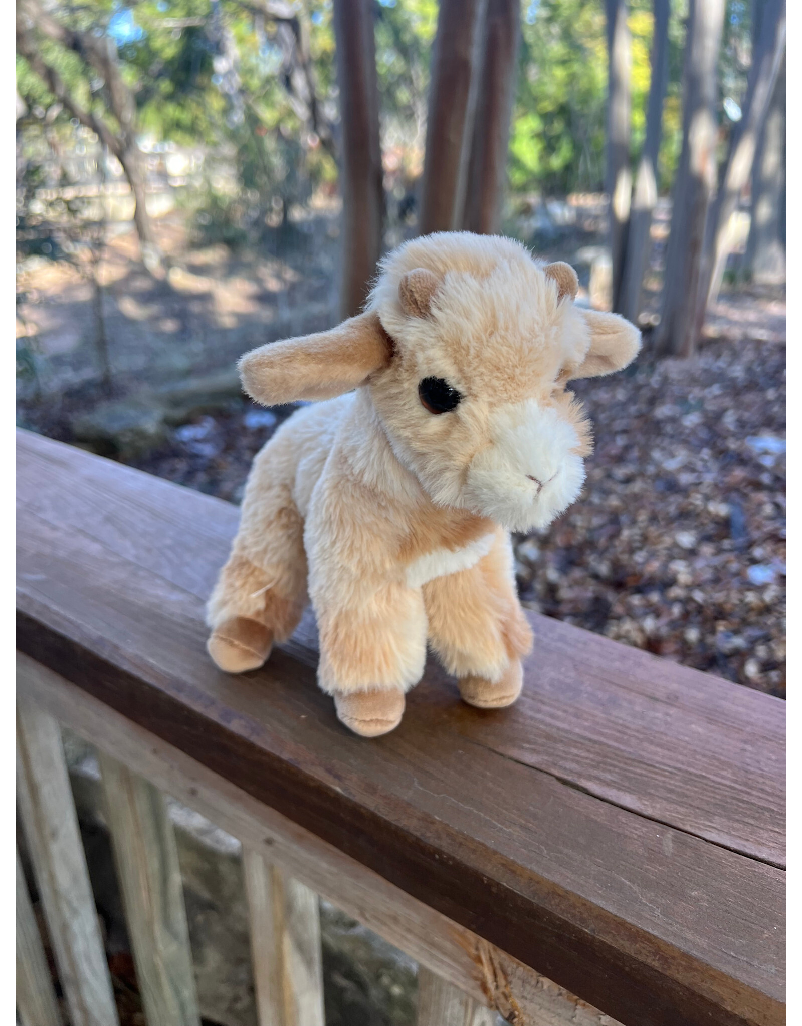 Dandie Goat Mini Soft