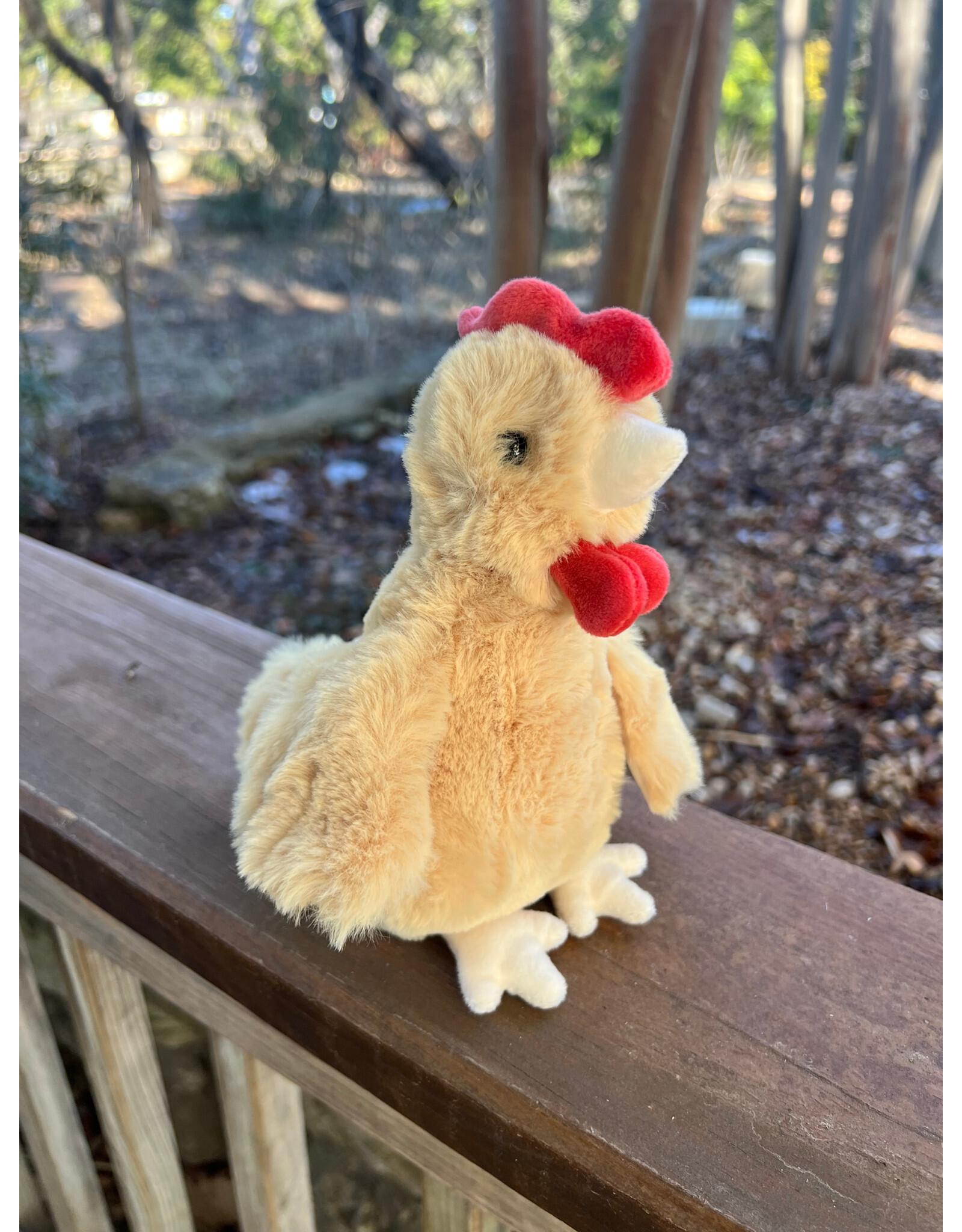 Rickie Gold Chicken Mini Soft