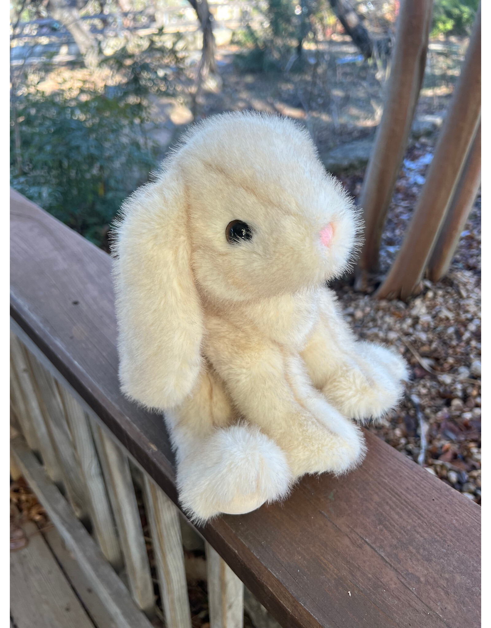 Robbie Cream Tipped Bunny Soft