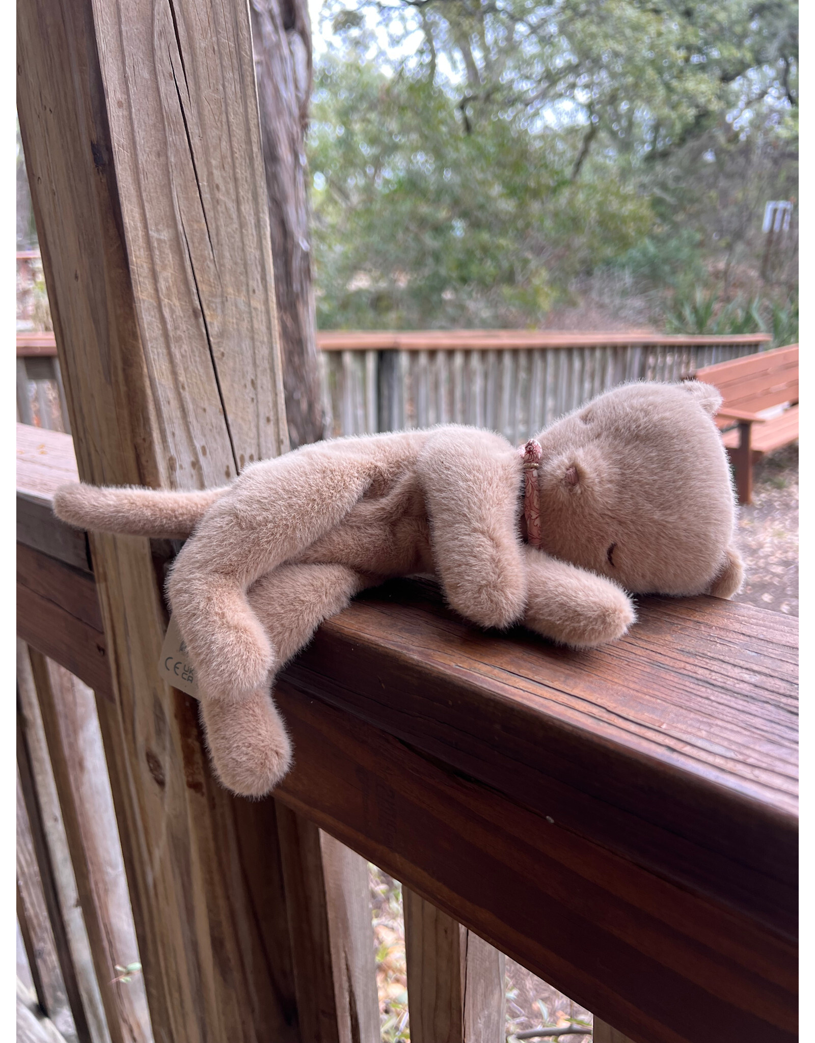 Sleeping Kitten Plush, Small. Cream. Maileg