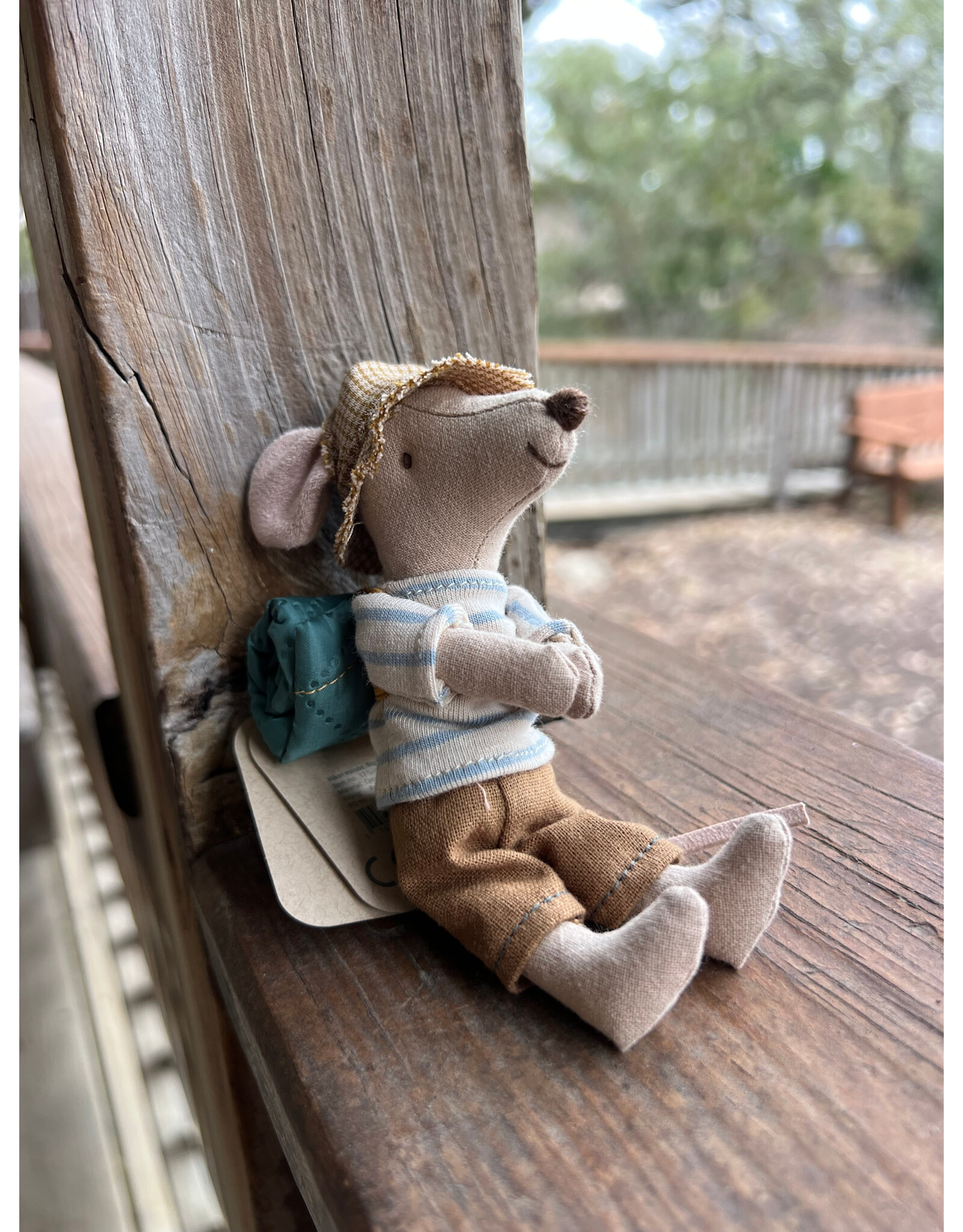 Big Brother Hiker Mouse 2026