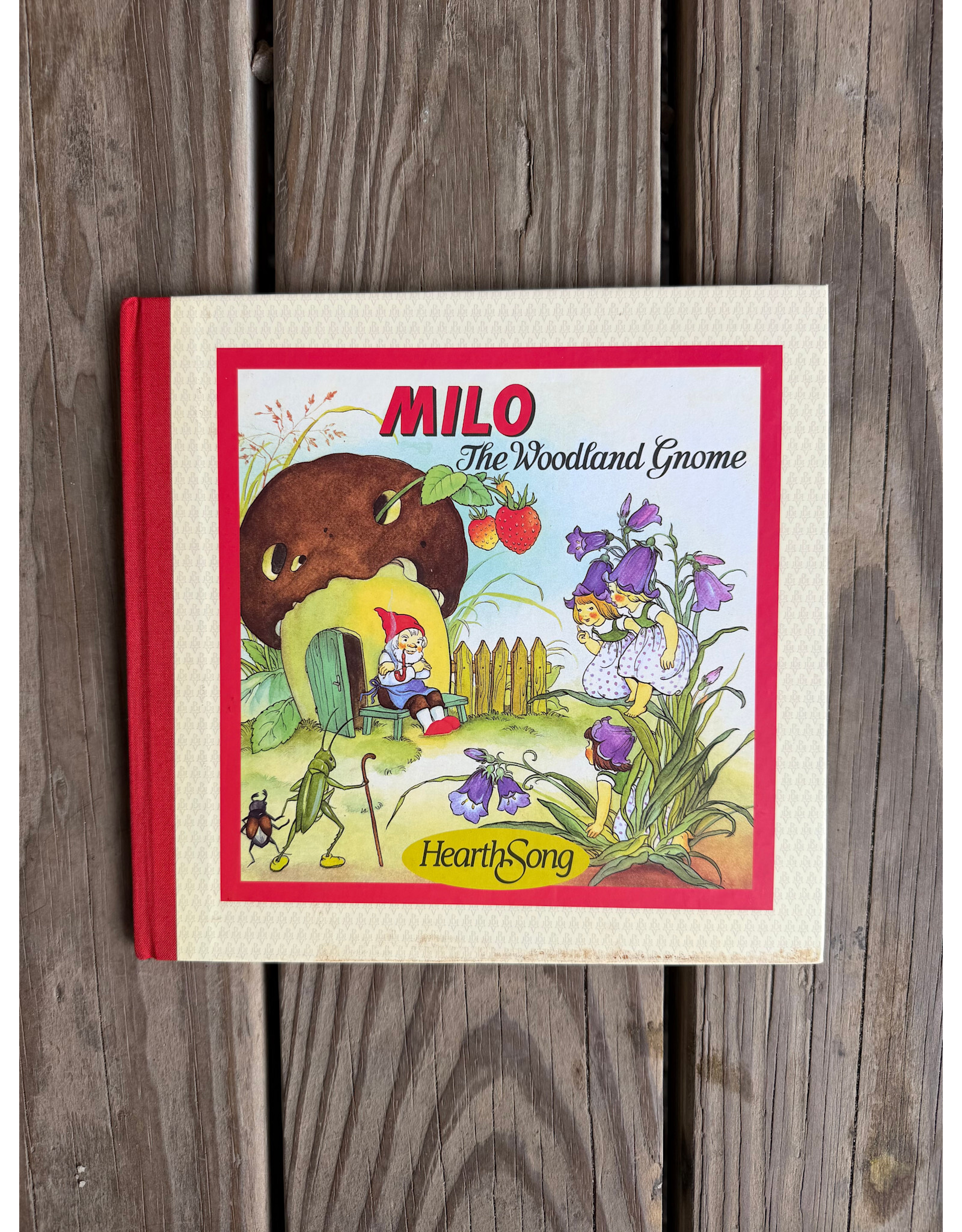 Milo the Woodland Gnome