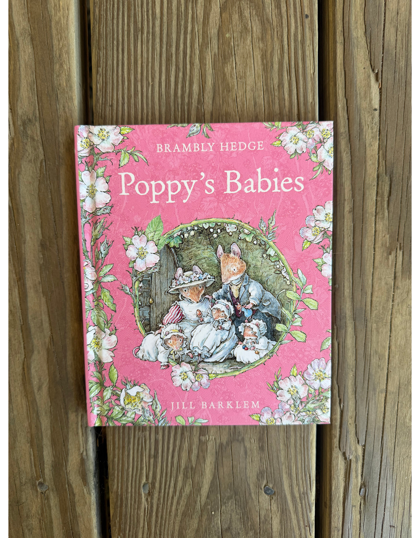 Brambly Hedge - Poppy's Babies