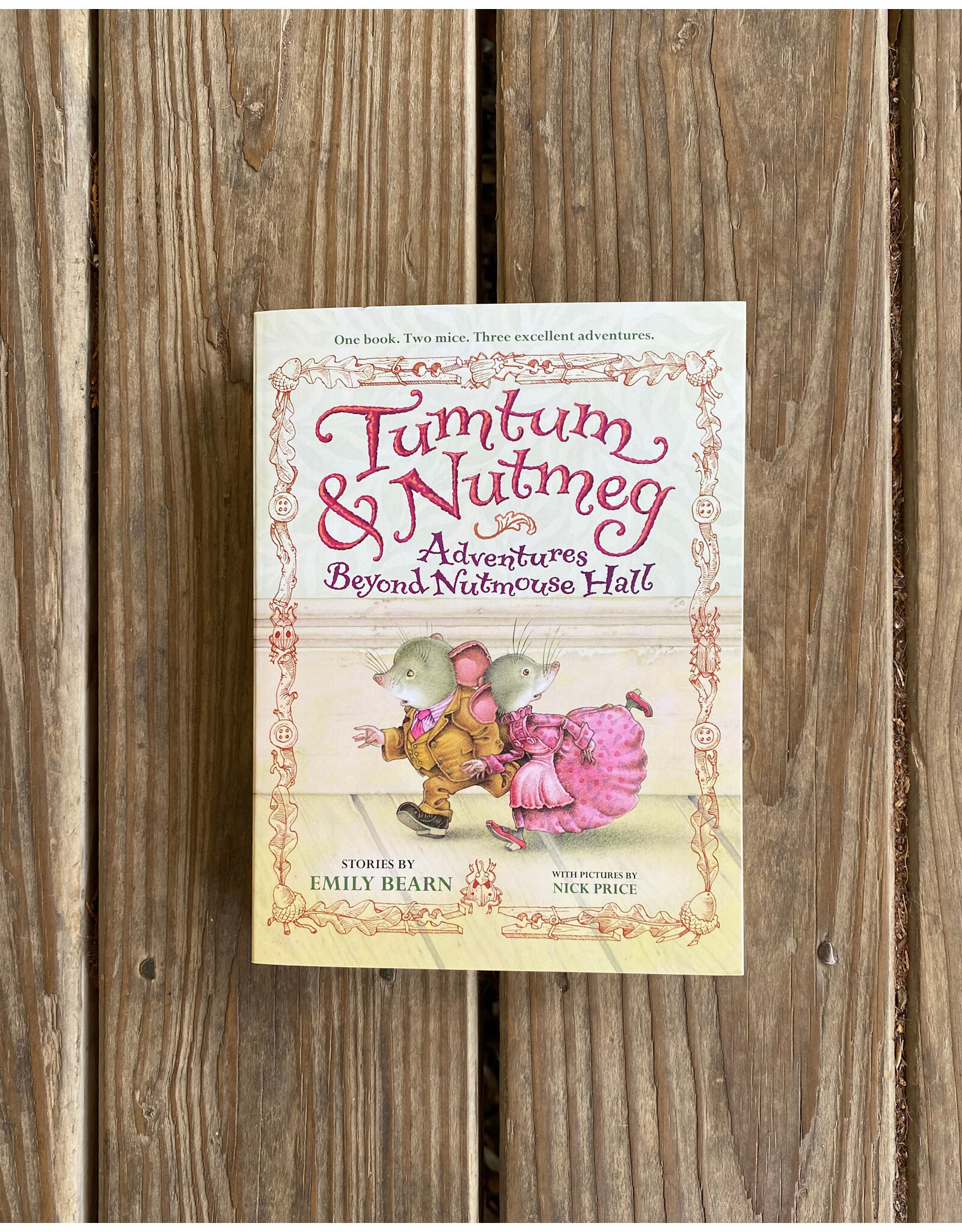 Tumtum & Nutmeg: Adventures - pbk