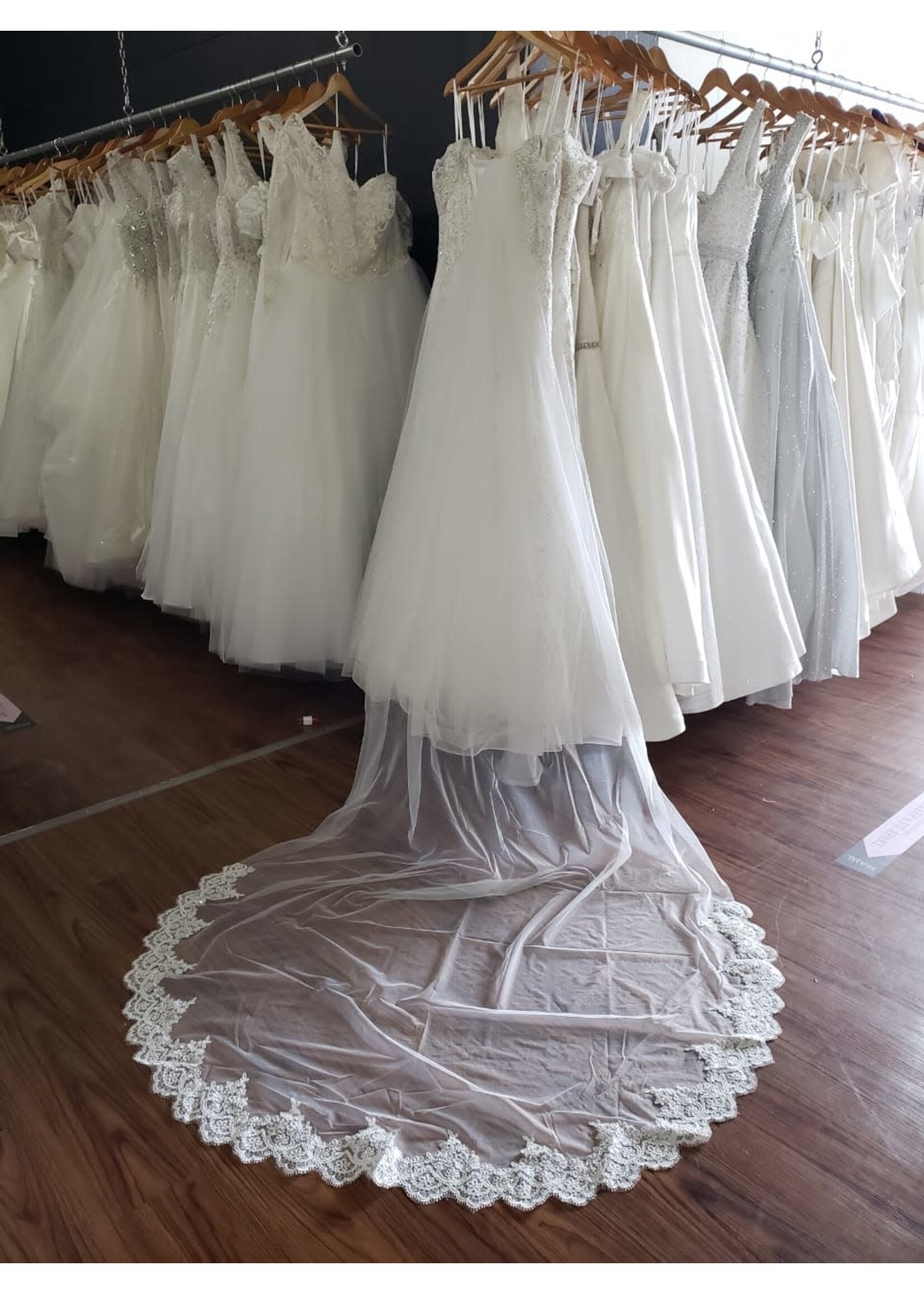 VEIL -CATHEDRAL SEQUIN/LACE DETAILING