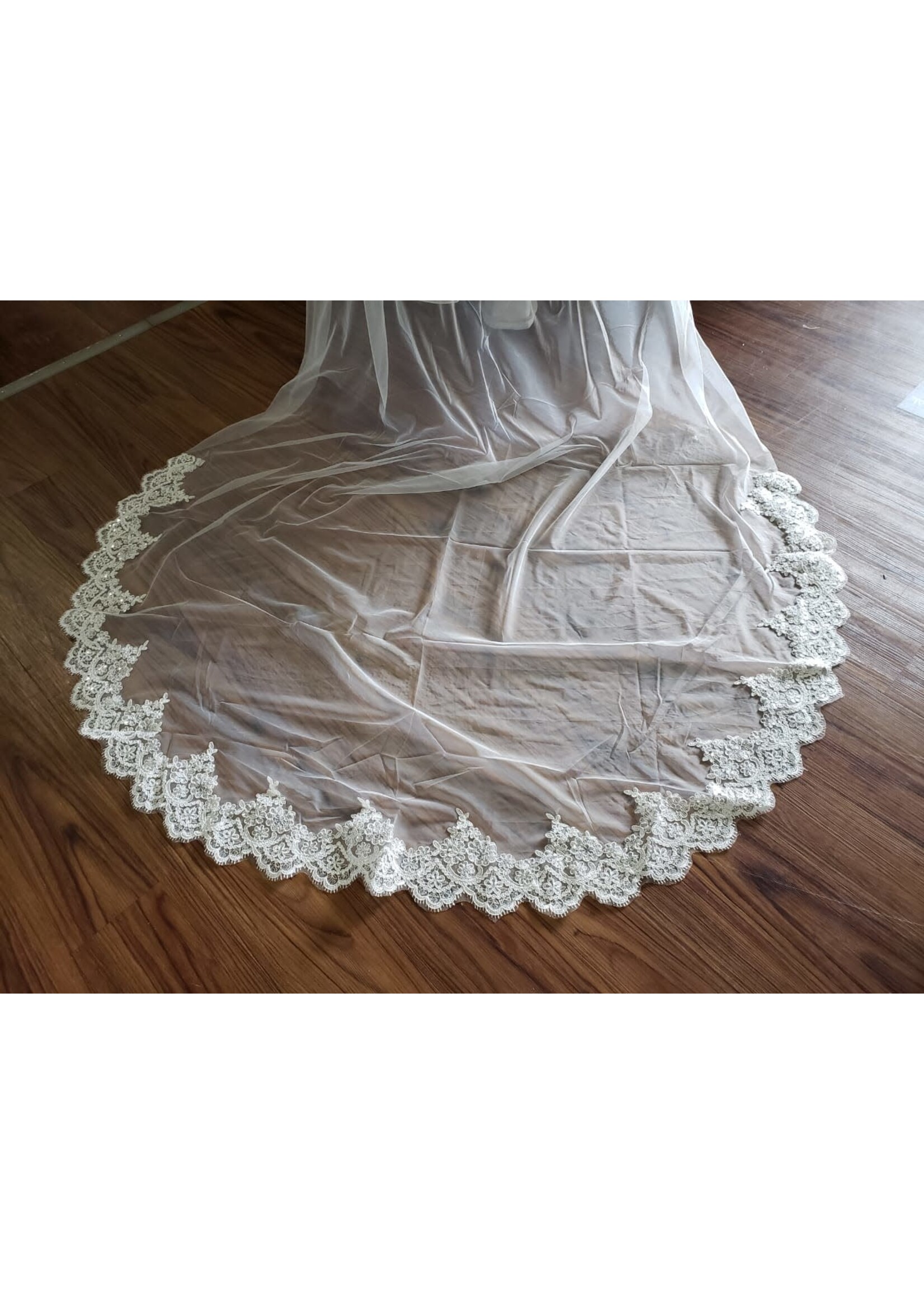 VEIL -CATHEDRAL SEQUIN/LACE DETAILING