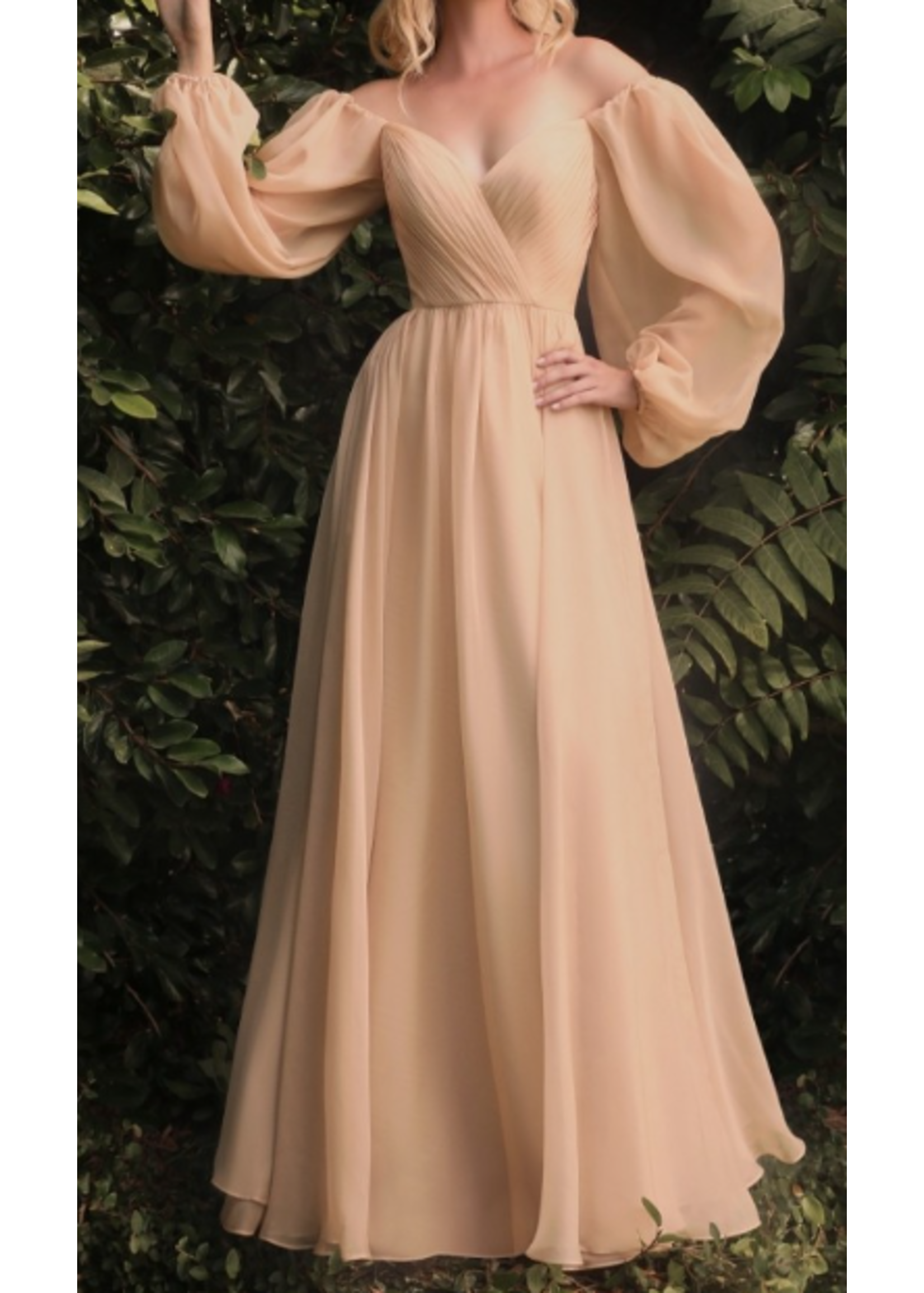 CDCD243 -SLEEVED CHIFFON GOWN