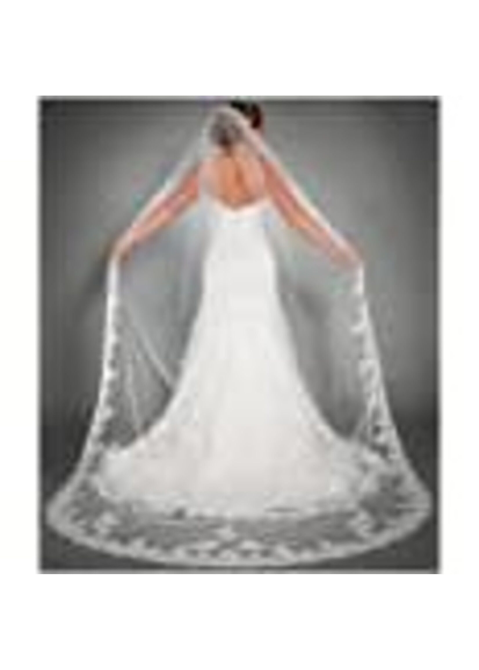 VEIL - CATHEDRAL 5M FULL LACE TRIM