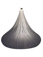 VEIL - CATHEDRAL 3M LACE EDGE