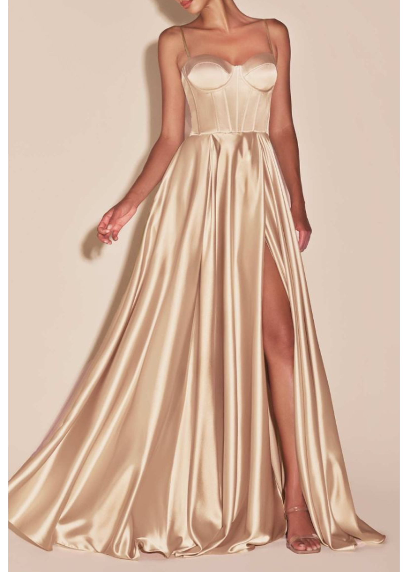 CDCD337 - EVENING GOWN / EXPOSED CORSET BALLGOWN