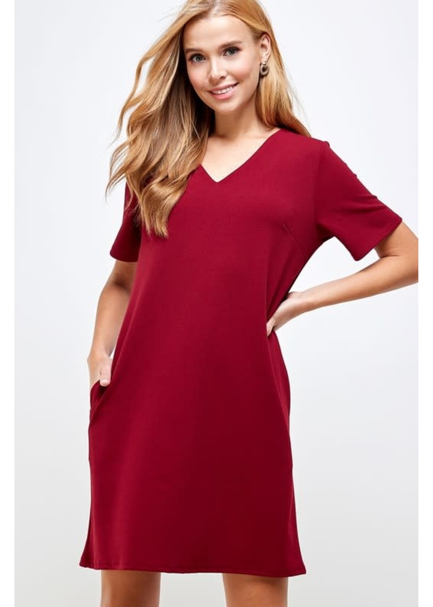 2HD3113- VNECK SHIFT DRESS