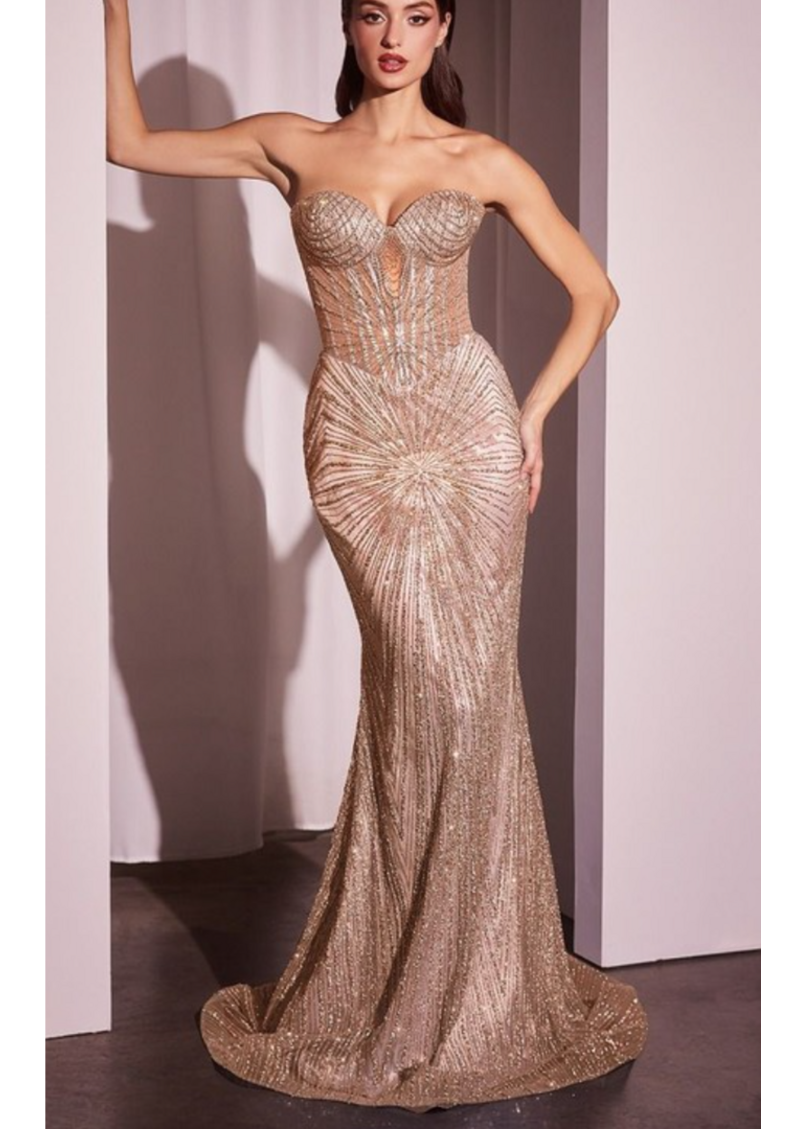 LDJ871 - EVENING GOWN - STRAPLESS SILVER EMBELLISHED GOWN