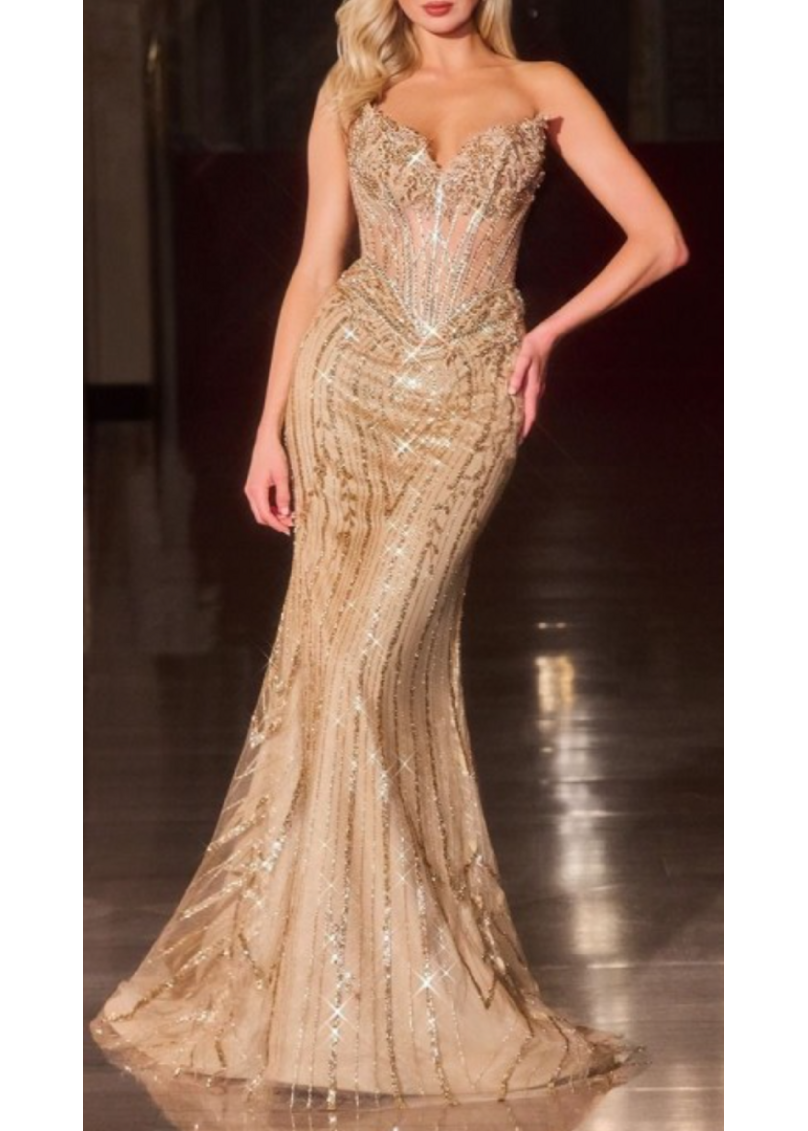 LDCDS557 - EVEING GOWN -  Strapless sweetheart neckline w beaded bodice featuring  sheer corset waist