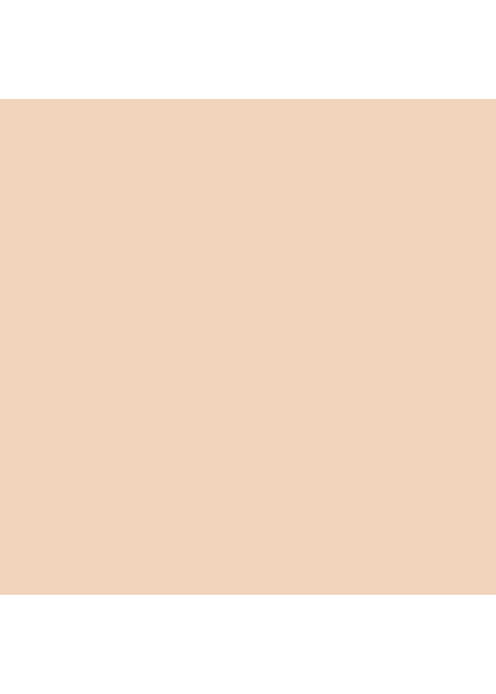ANSC1217 - SMOOTH SLIP SKIRT
