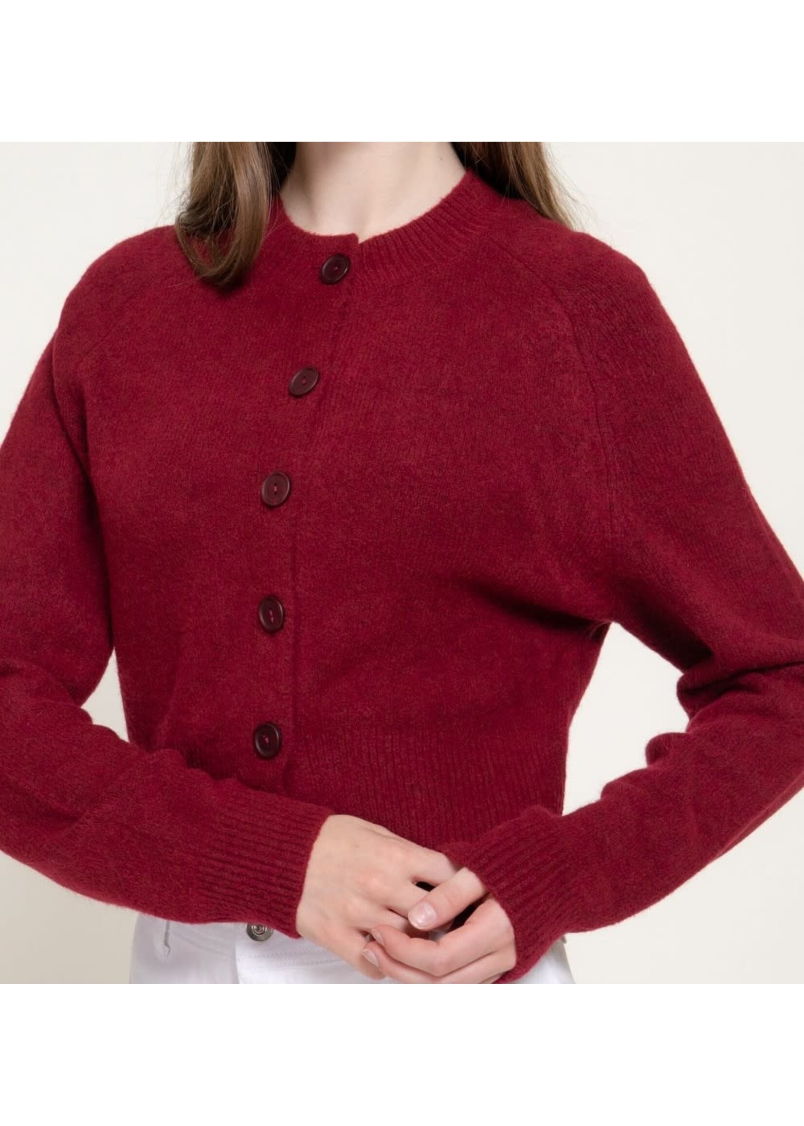ABSW15465 - LONG SLEEVE SWEATER CARDIGAN