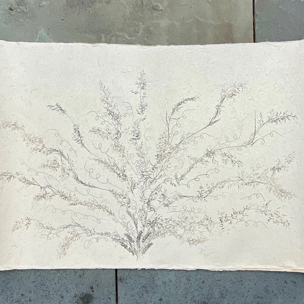 Flower Paper 38 x 59 - Lavender