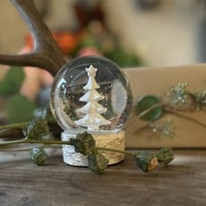 Snow Globe on Birch with Tree