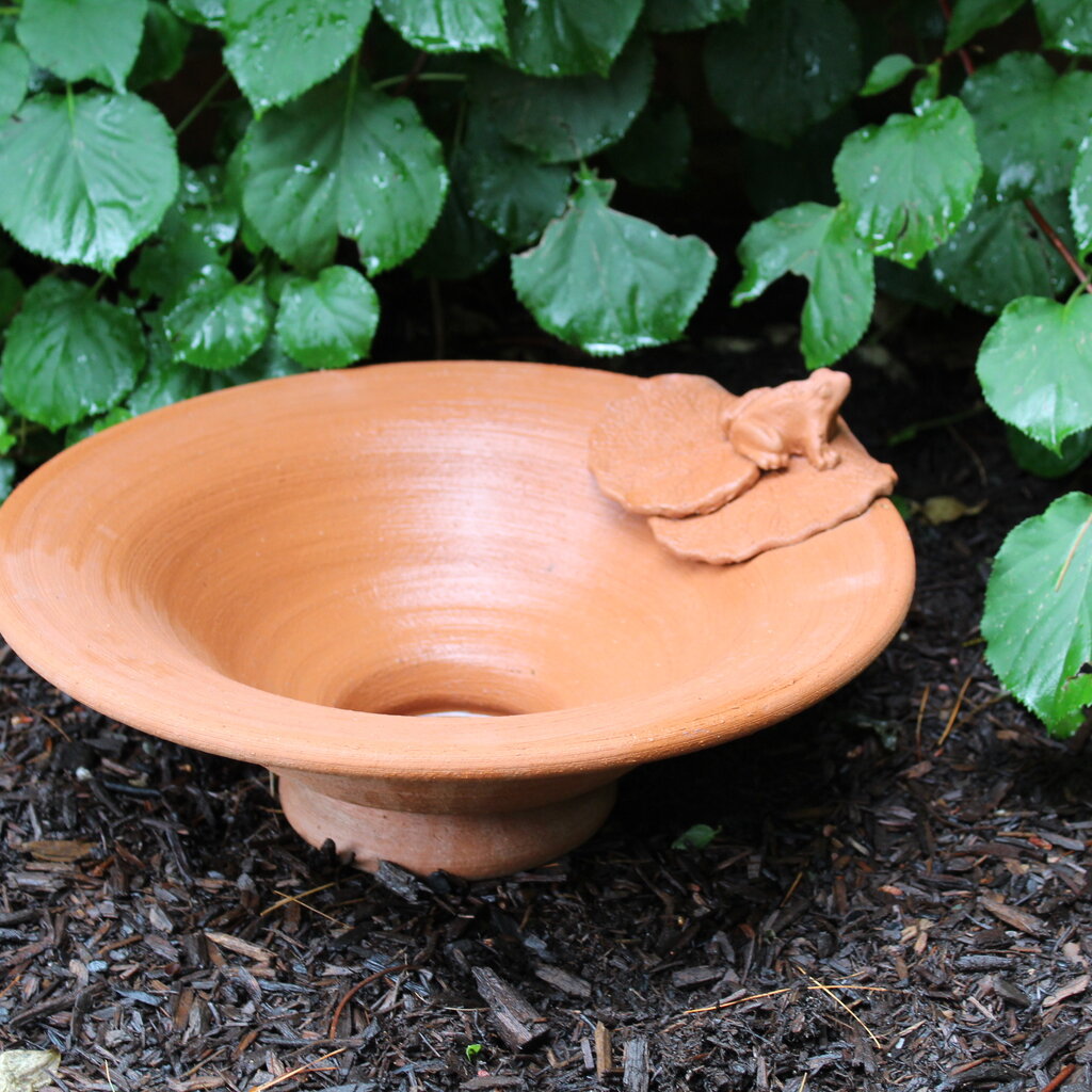 Terracotta Bowl w/ Frog & Lily Pad