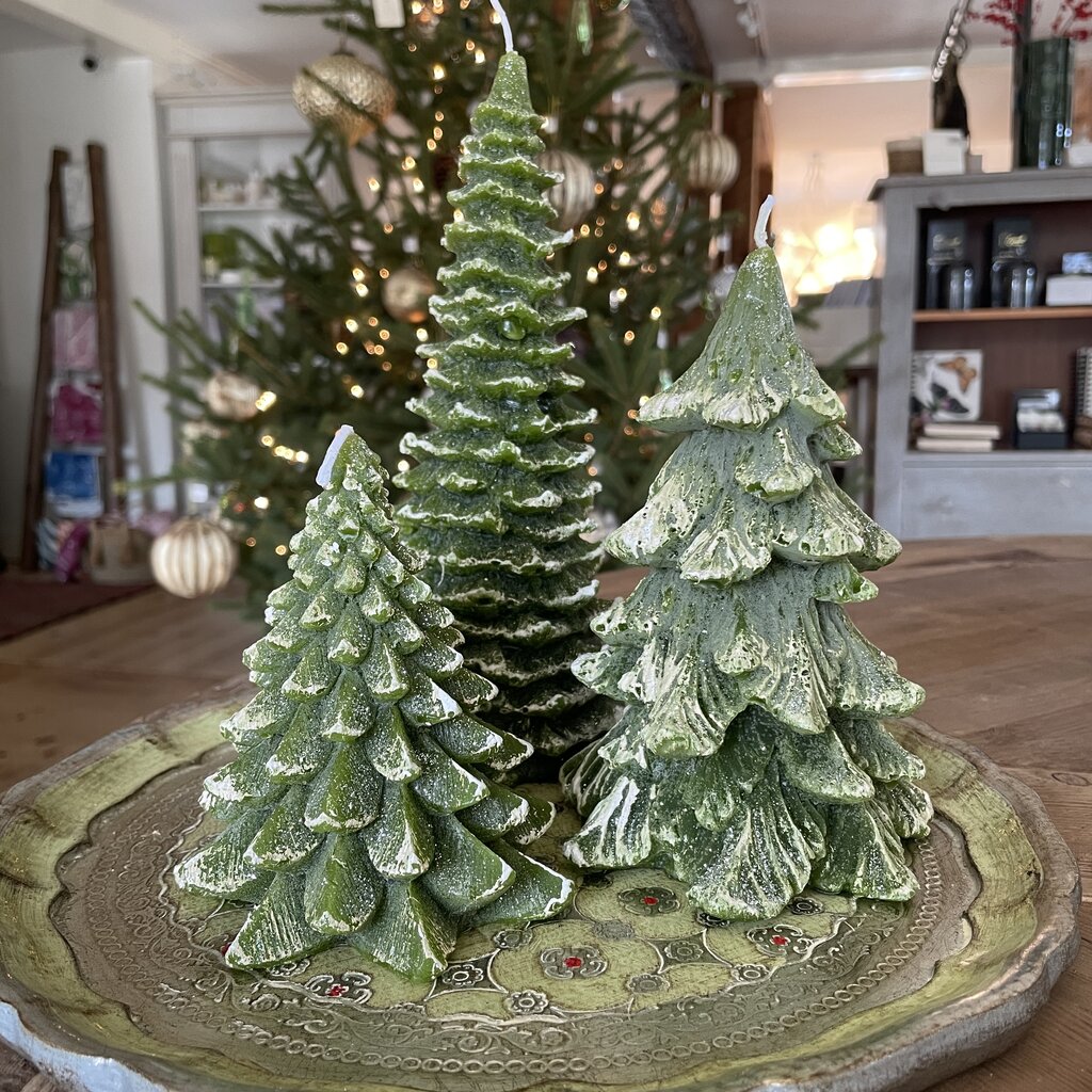 Pine Tree Candle