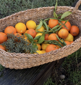 Oval Tray Basket Harvest - Set of 3