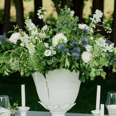 Sophia Ceramic  Vase - Wide