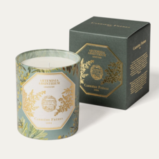 Museum Candle