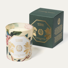 Museum Candle