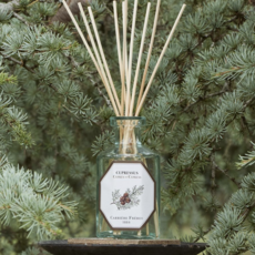 Carrière Frères Diffuser -