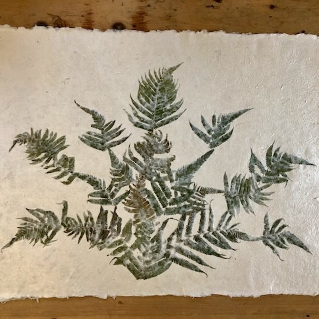 Flower Paper 24 x 35 - Fern