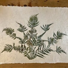 Flower Paper 24 x 35 - Fern
