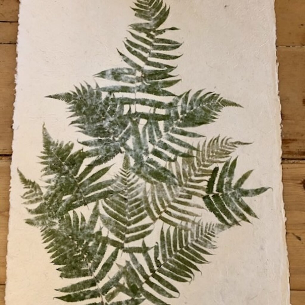 Flower Paper 24 x 35 - Fern