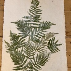 Flower Paper 24 x 35 - Fern