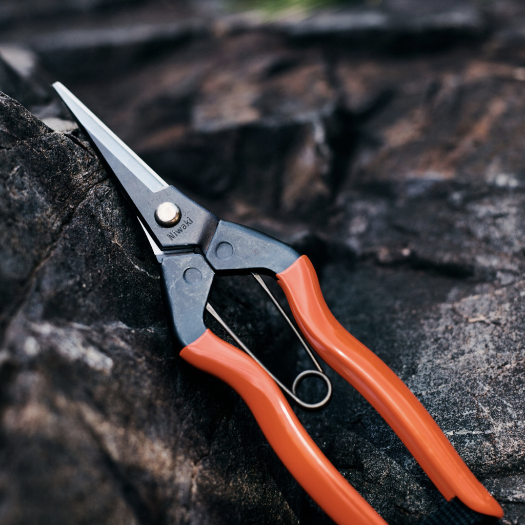 Niwaki Snips - Garden