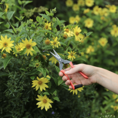 Snips - Garden