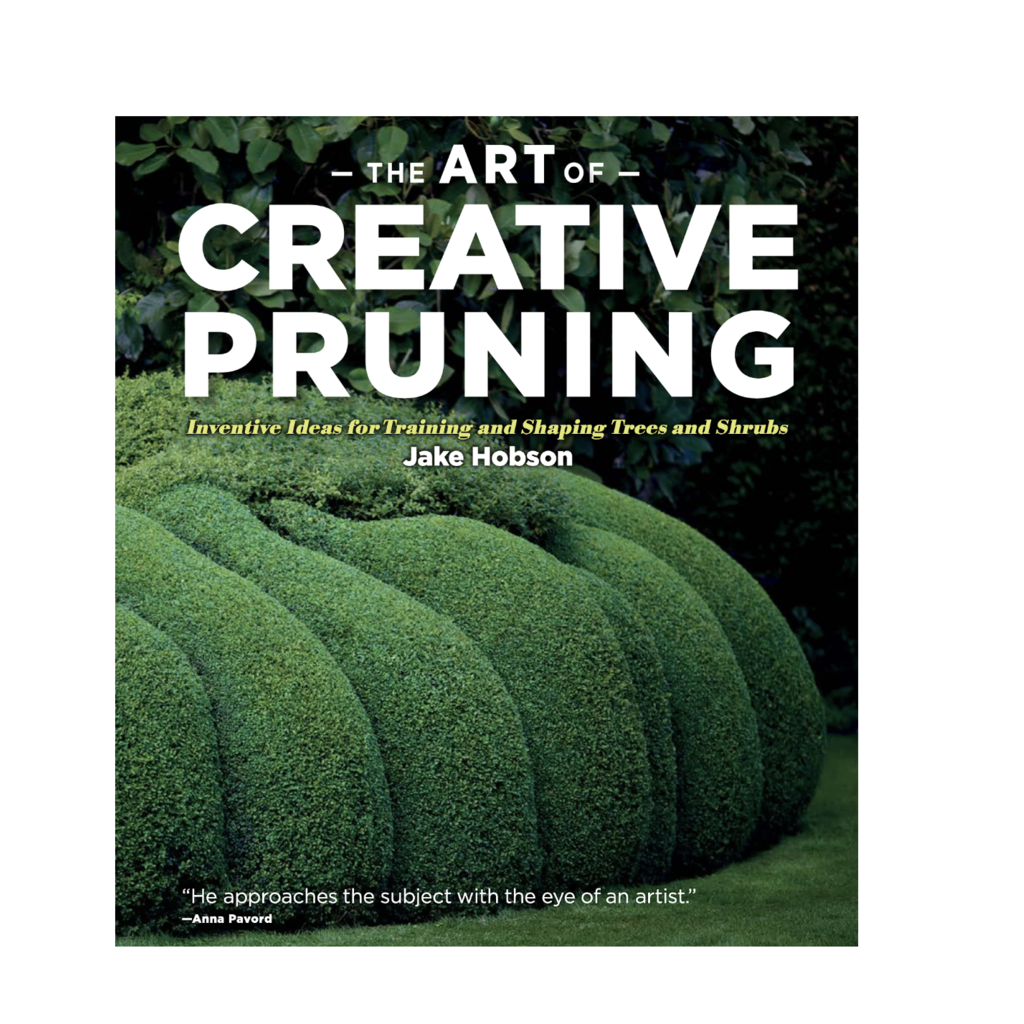 The Art of Creative Pruning