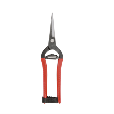 Niwaki Snips - Forged