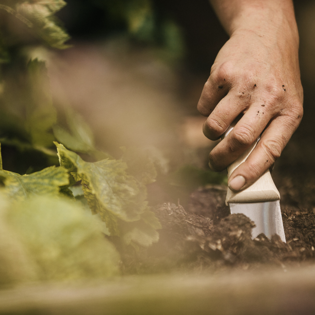 Hori Hori Trowel w/ Sheath - Standard