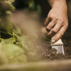 Hori Hori Trowel w/ Sheath - Standard