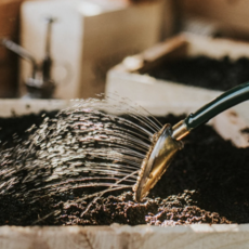 The Rowley Ripple - Two Pint Green