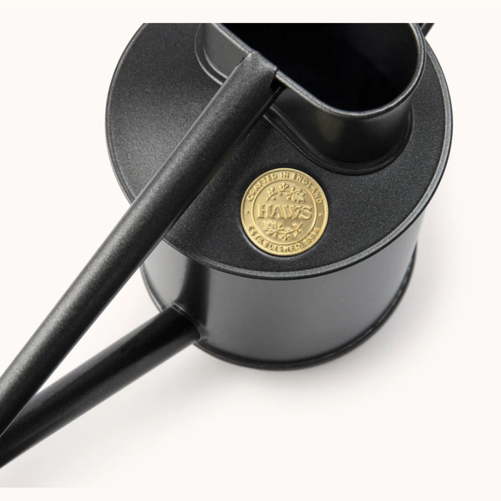 The Rowley Ripple - Two Pint  Graphite