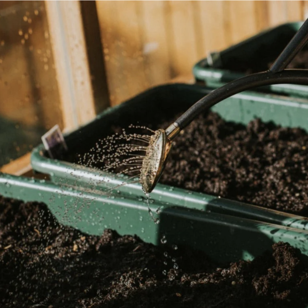 The Rowley Ripple - Two Pint  Graphite