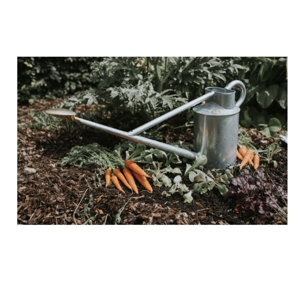 The Warley Fall - Two Gallon Galvanized