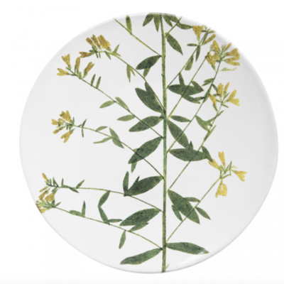 Astier de Villatte Genista Medium Plate