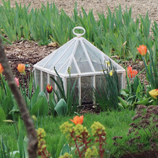 English Cast Iron Victorian Square Cloche