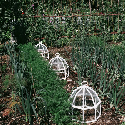 English Cast Iron Victorian Octagonal Cloche