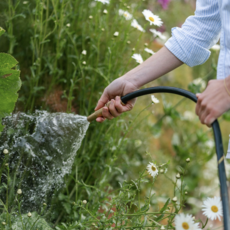 Beautiful Garden Hose