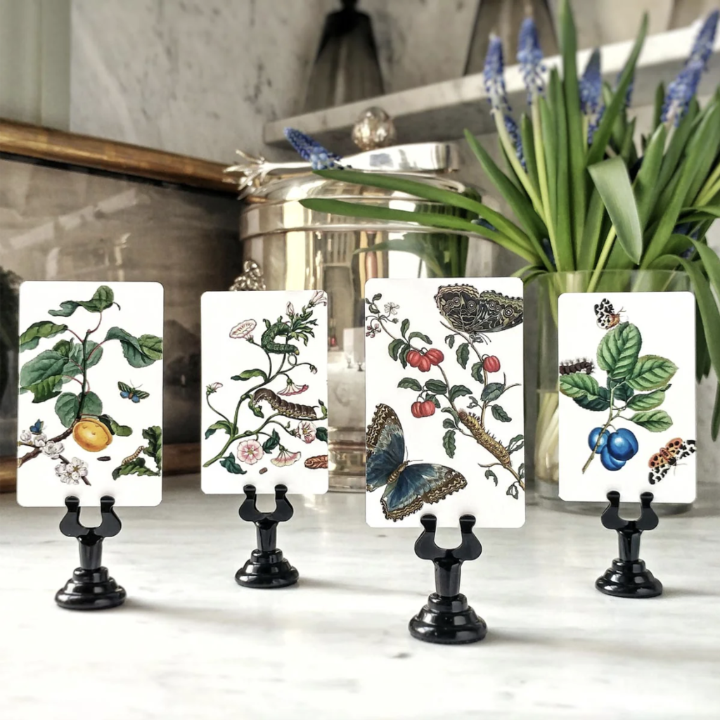Signs of Spring Place Cards (16) - Upright