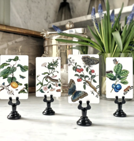 Signs of Spring Place Cards (16) - Upright